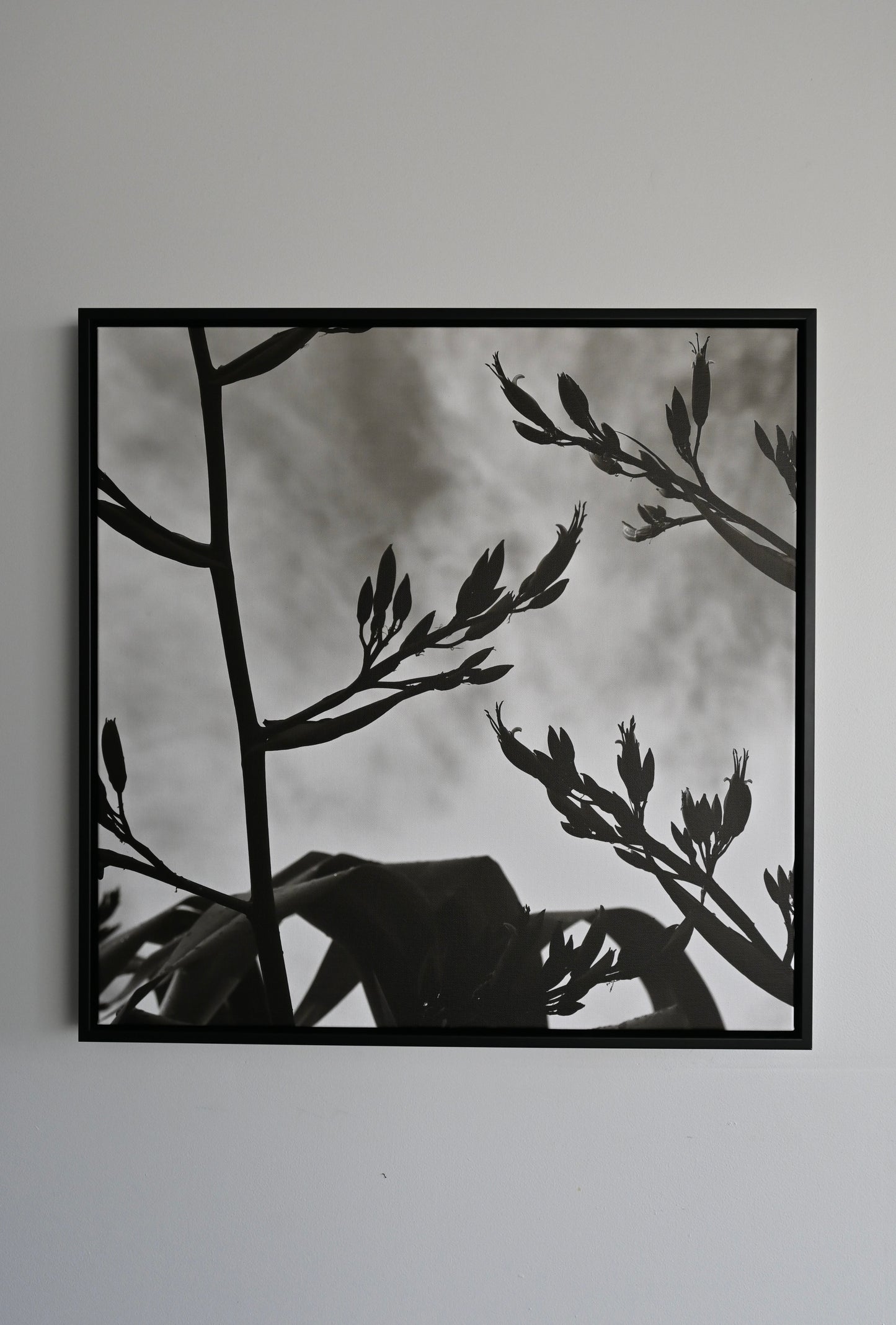 Kōrari Silhouette