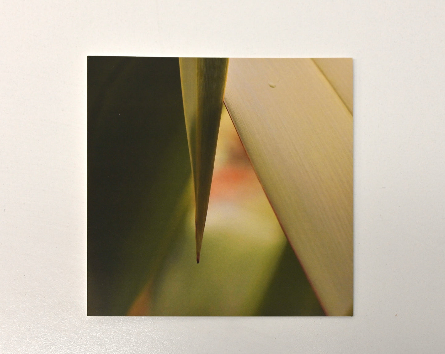 Cards by Harete