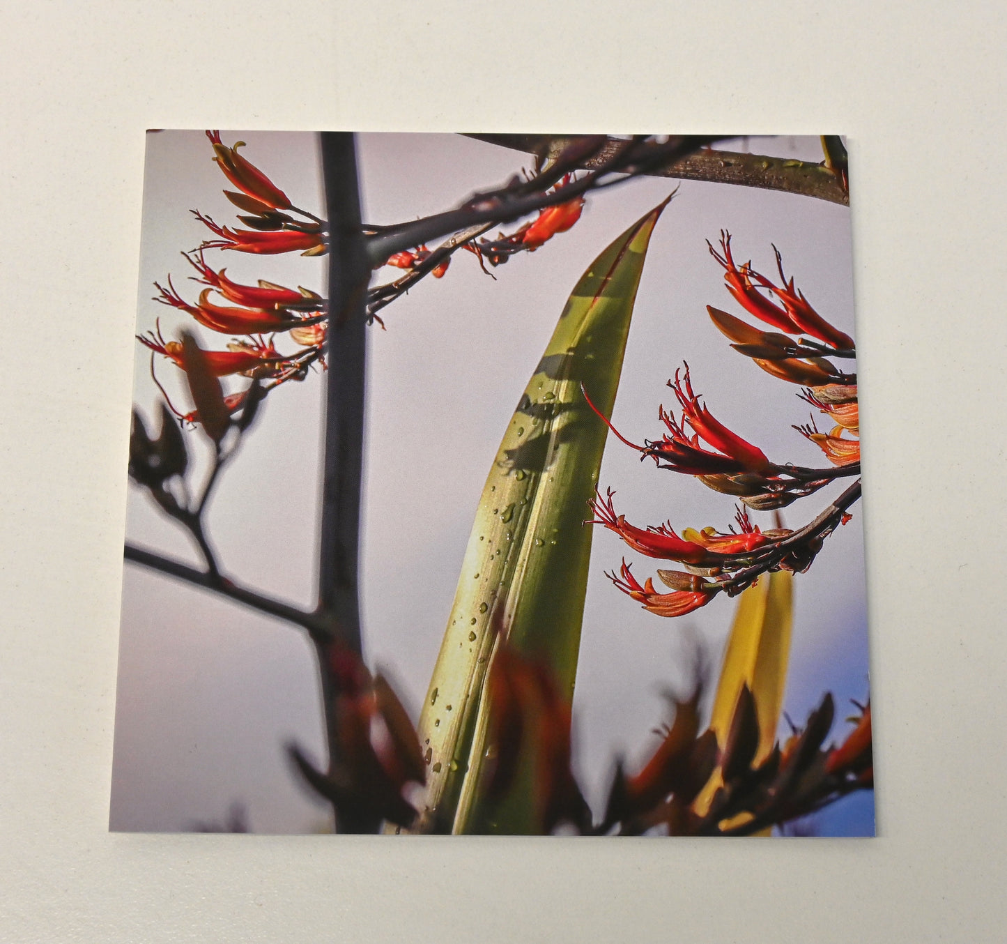 Cards by Harete