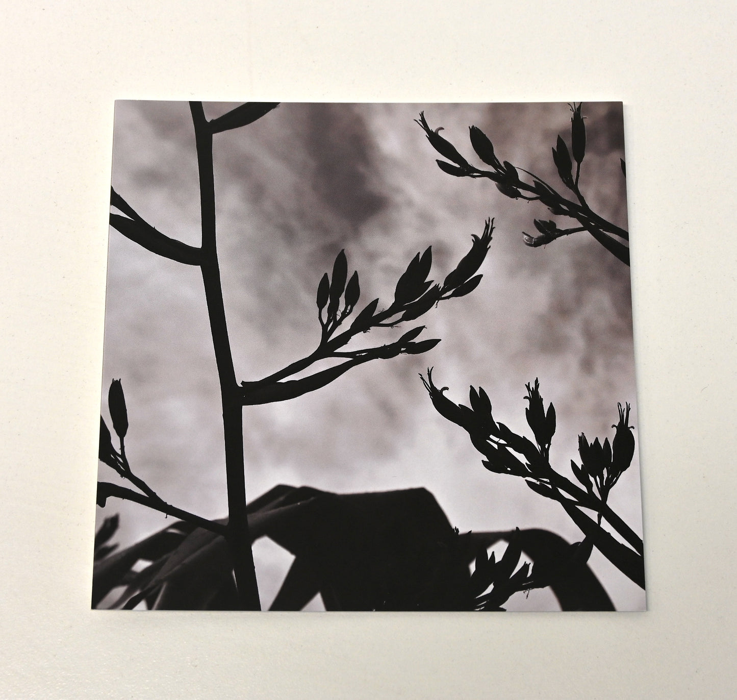 Cards by Harete