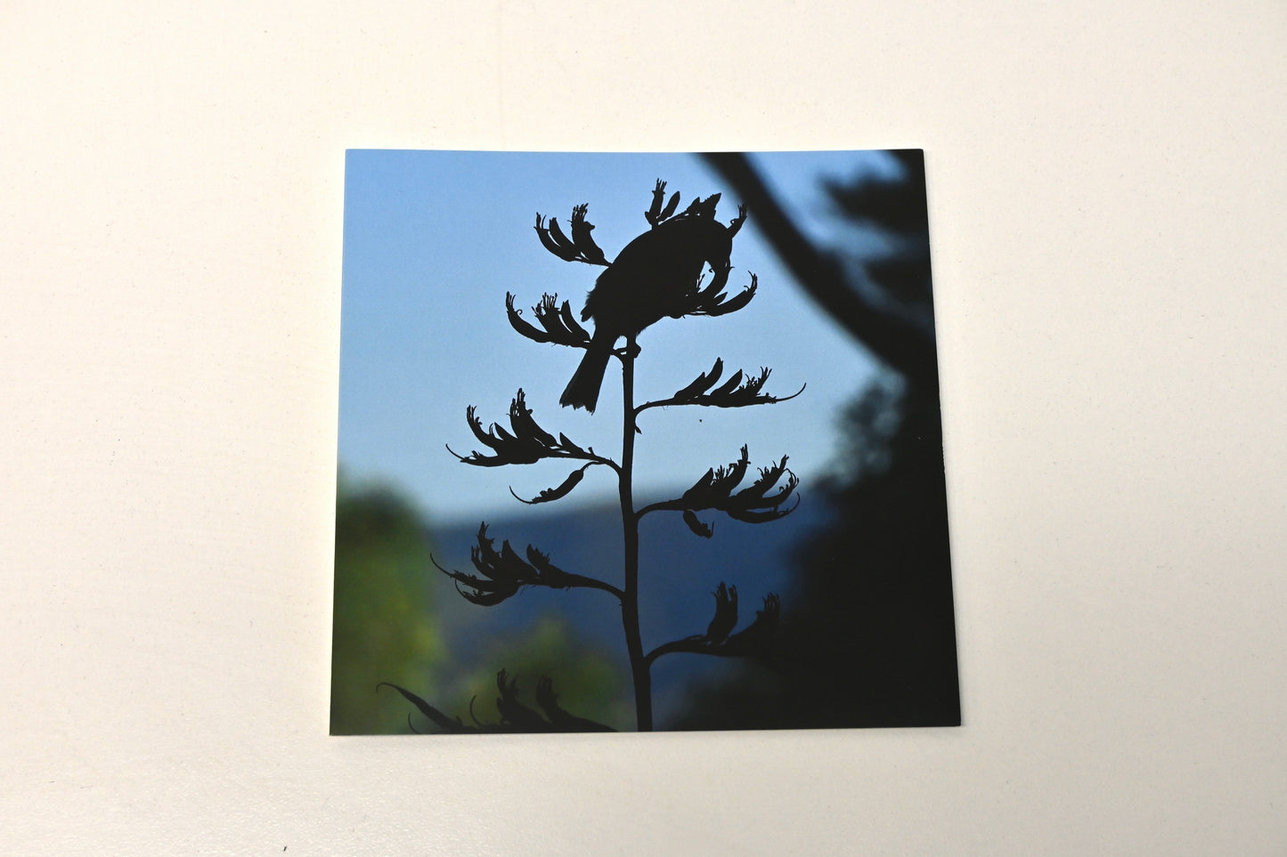 Cards by Harete