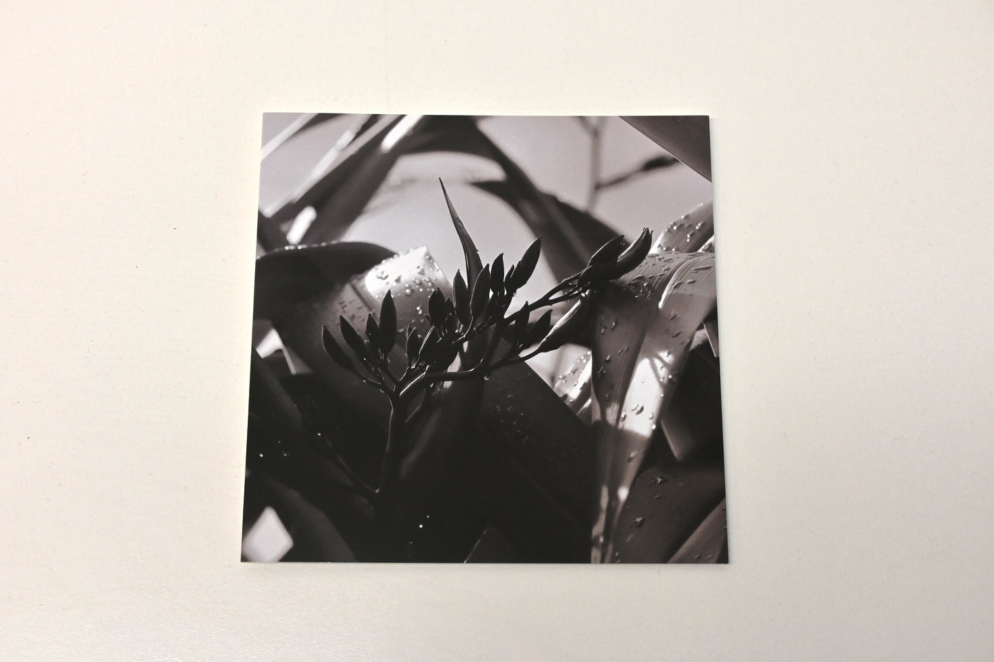 Cards by Harete